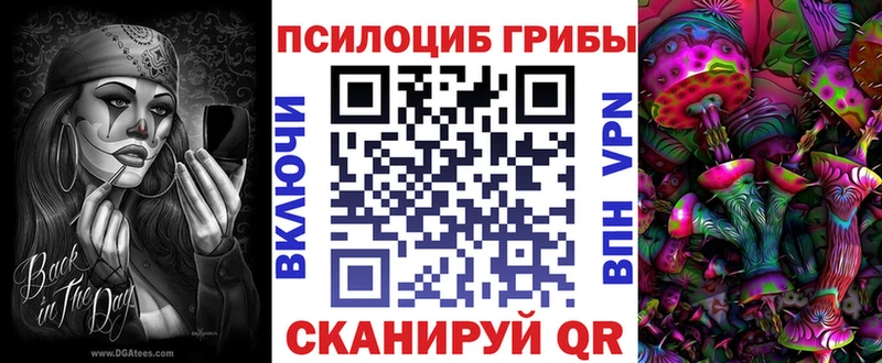 Галлюциногенные грибы Psilocybine cubensis  дарнет шоп  Новая Ляля 